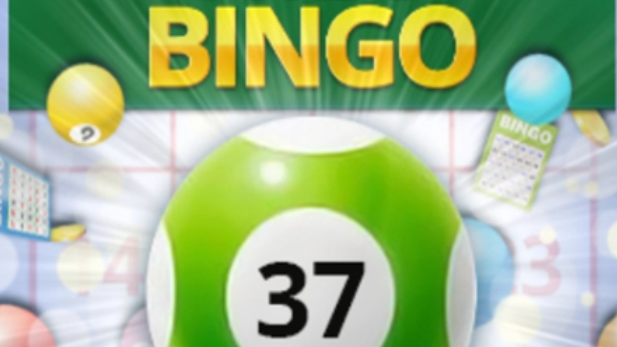 Bingo 37